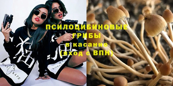 гидропоника Алзамай