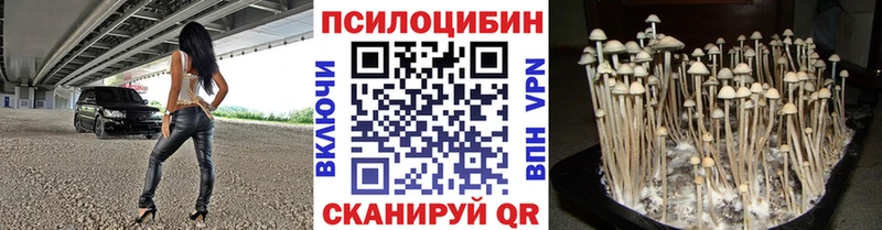 Галлюциногенные грибы Magic Shrooms  shop наркотические препараты  Учалы  даркнет сайт 