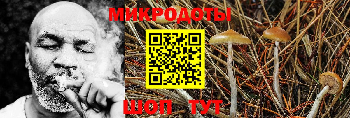 Галлюциногенные грибы мицелий  Вход с VPN  Учалы  Галлюциногенные грибы MAGIC MUSHROOMS 
